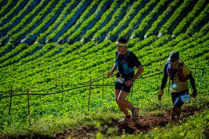 BIB: 96371
                            <button type="button" onclick="openModal(19160598)" class="btn btn-primary btn-sm float-right btn-popup" data-toggle="modal" data-target=".modal-high-quality">
                        <i class="fas fa-shopping-cart"></i> Add to Cart
                    </button>
                                            <button type="button" onclick="isThisMe(19160598, true)" class="btn btn-success btn-sm float-right btn-popup btn-isme hidden" data-toggle="tooltip" data-placement="bottom" title="นี่คือรูปของคุณใช่ไหม คลิกที่นี่เพื่อเอาเข้าอัลบั้ม">
                        <i class="fas fa-plus"></i> Add to album
                    </button>
                    <button type="button" onclick="isThisMe(19160598, false)" class="btn btn-warning btn-sm float-right btn-popup btn-isnotme hidden">
                        <i class="fas fa-ban"></i> Remove from album
                    </button>